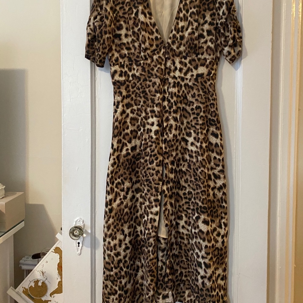 Astr the label button front maxi leopard dress